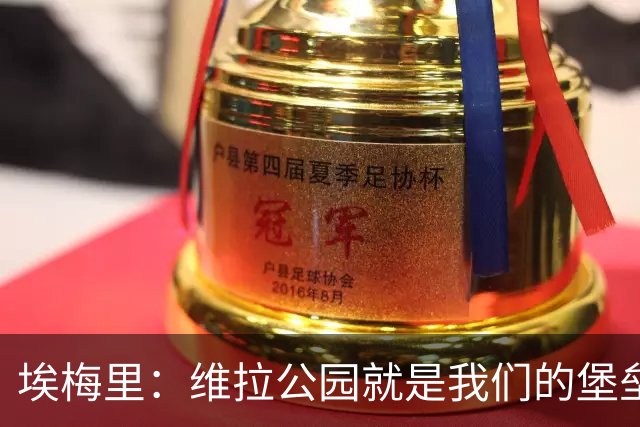 埃梅里：维拉公园就是我们的堡垒，球迷给了我们巨大能量