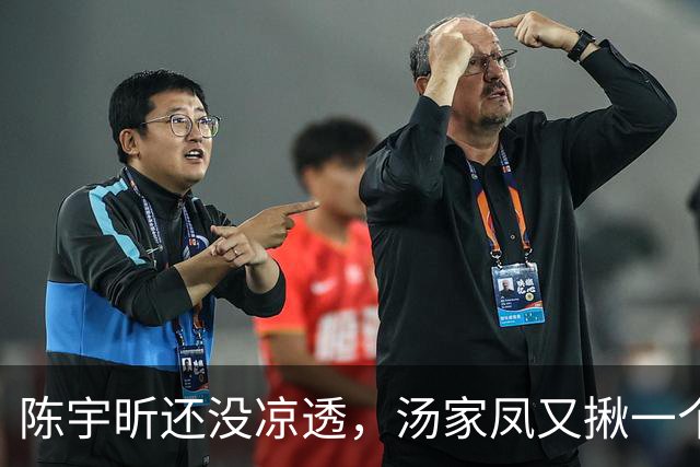 陈宇昕还没凉透，汤家凤又揪一个“精日”人员：竟然还是公司老板