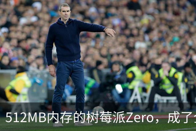 512MB内存的树莓派Zero，成了全家网络的DNS中枢